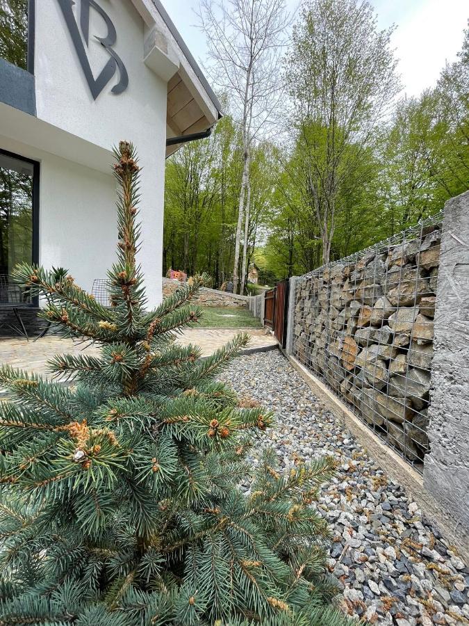 Vila Blanc Valiug Crivaia Buitenkant foto