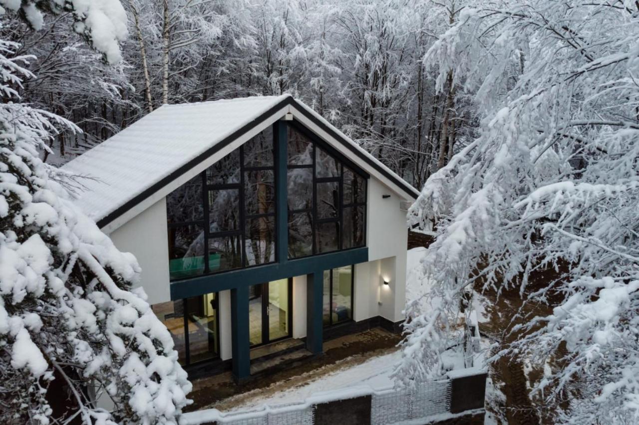 Vila Blanc Valiug Crivaia Buitenkant foto