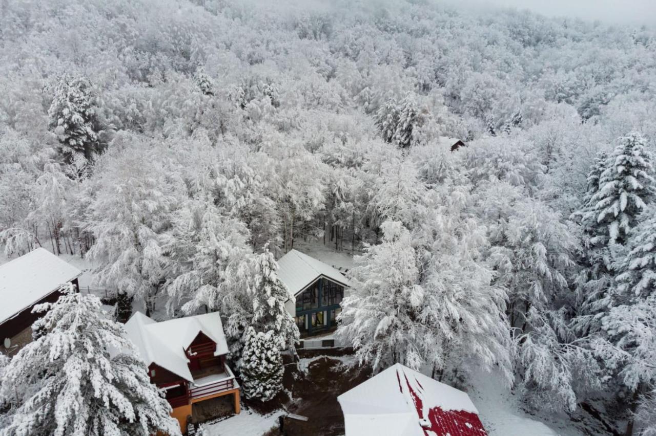 Vila Blanc Valiug Crivaia Buitenkant foto