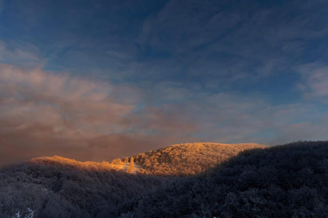 Vila Blanc Valiug Crivaia Buitenkant foto