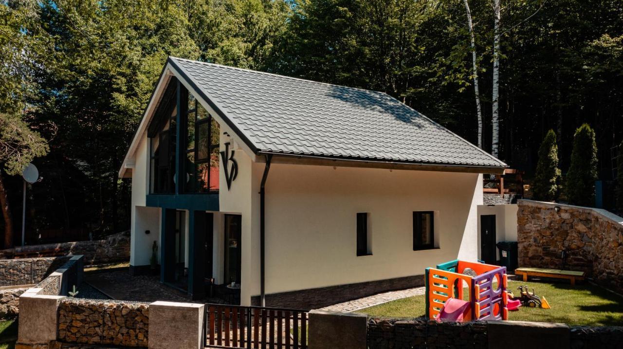 Vila Blanc Valiug Crivaia Buitenkant foto
