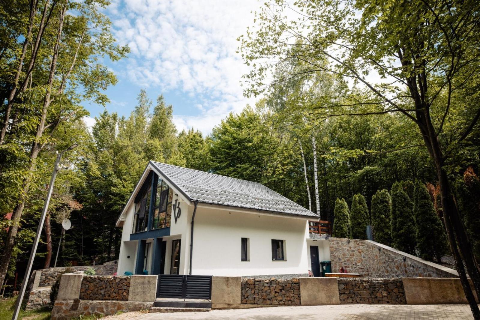 Vila Blanc Valiug Crivaia Buitenkant foto