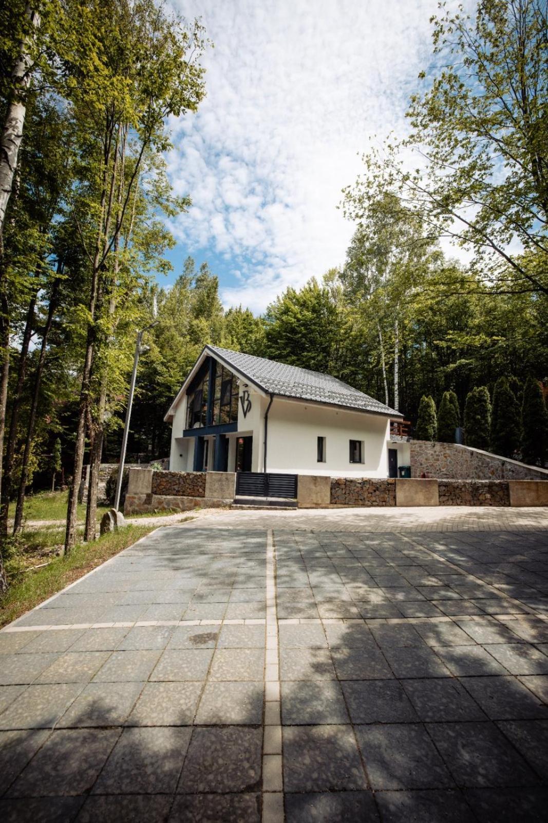 Vila Blanc Valiug Crivaia Buitenkant foto