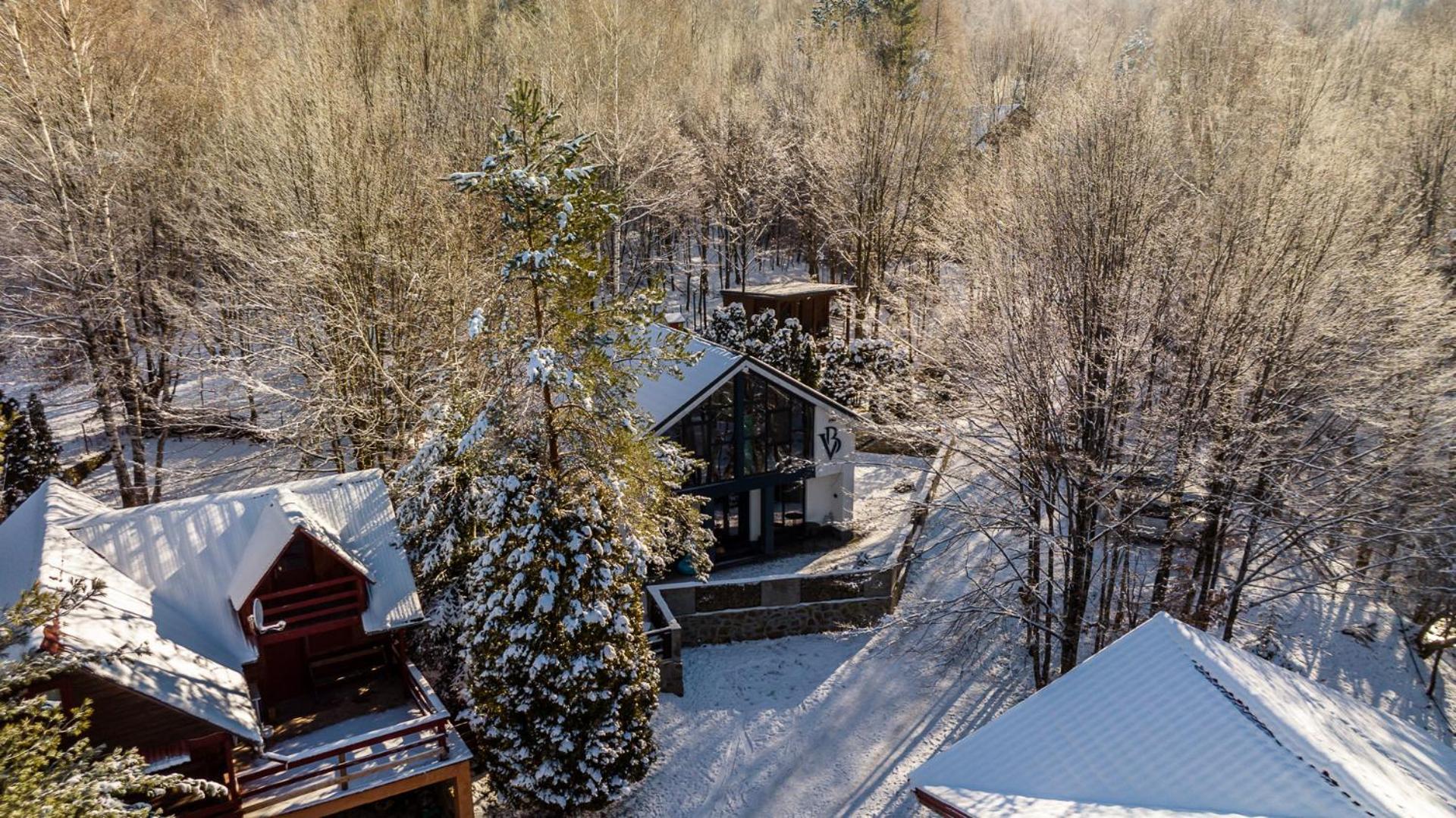 Vila Blanc Valiug Crivaia Buitenkant foto